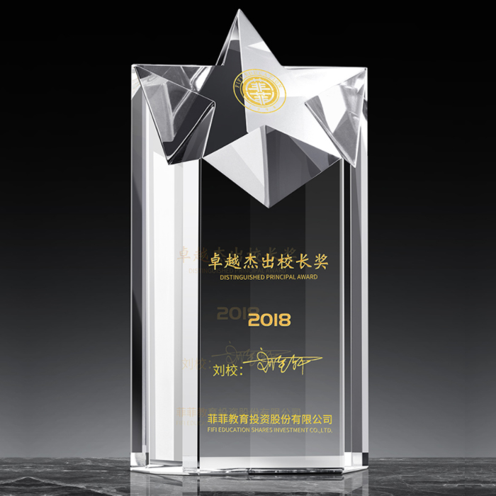 Winners Star Crystal Award