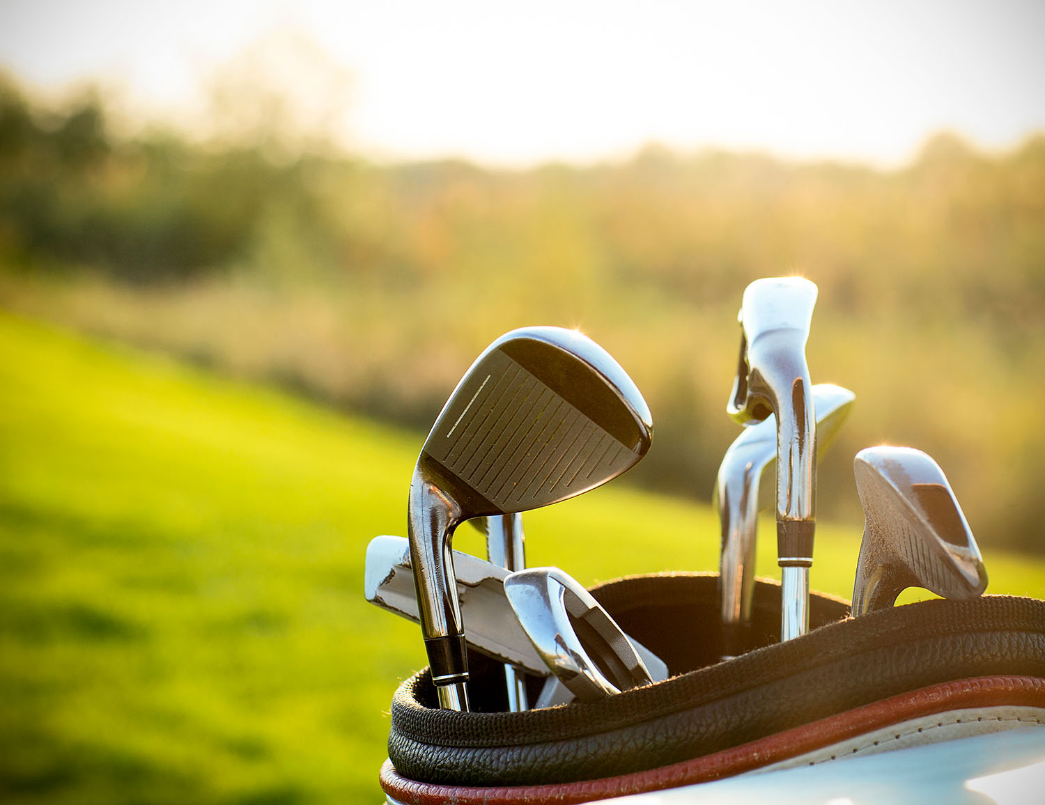 Swing into Action: Top Corporate Gifts for Golf Days