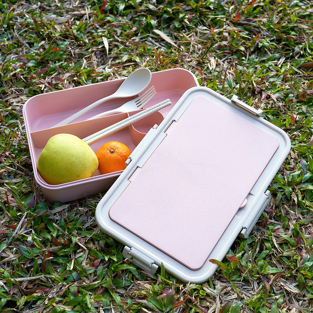 Eco Lunch box (Large)